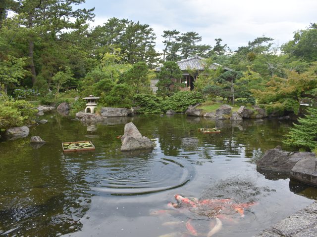 かながわの公園「潮騒とともに時がゆっくり流れる」葉山しおさい公園（葉山町）