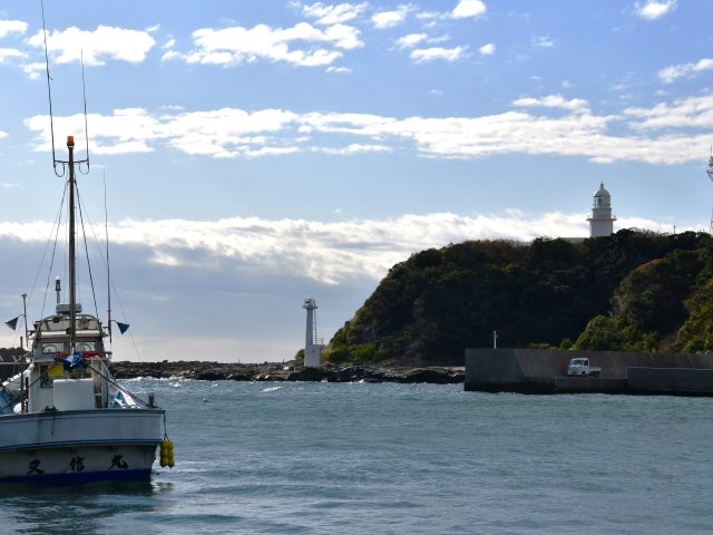 Photo｜ダイコン畑と小さな漁港