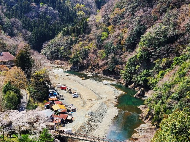 水源を訪ねる「赤道を超えても腐らない水」を育てている清流・道志川