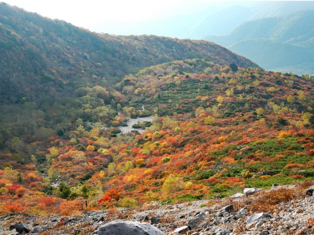 那須の紅葉期待通り