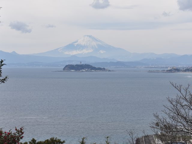 かながわの公園　大崎公園（逗子市）圧巻の夕日スポット